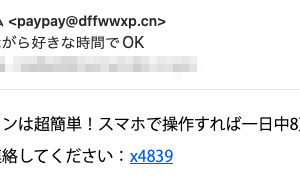 フィッシングメール情報「自宅にいながら好きな時間でOK」