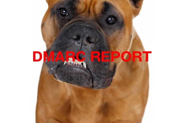 DMARCのレポートメールを受信。
