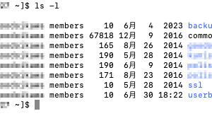 XSERVER総ファイル数が赤文字の時の対処法。
