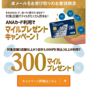 フィッシングメール情報「ANAカードご利用者様必見:このメールを受け取った方だけの特別ご案内」