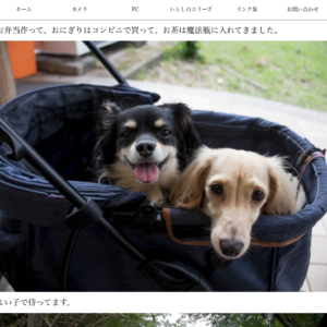 投稿画面に:root{}で設定したフォントファミリー・フォントサイズを読み込んで、インラインCSSを適用する。